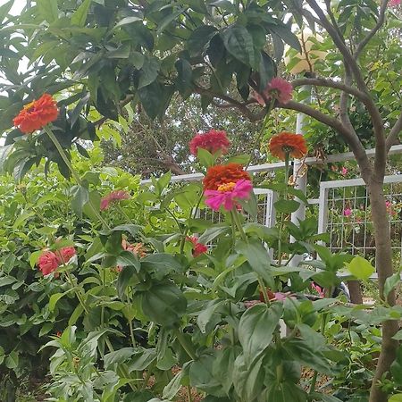 Garden Rooms Himare Ngoại thất bức ảnh