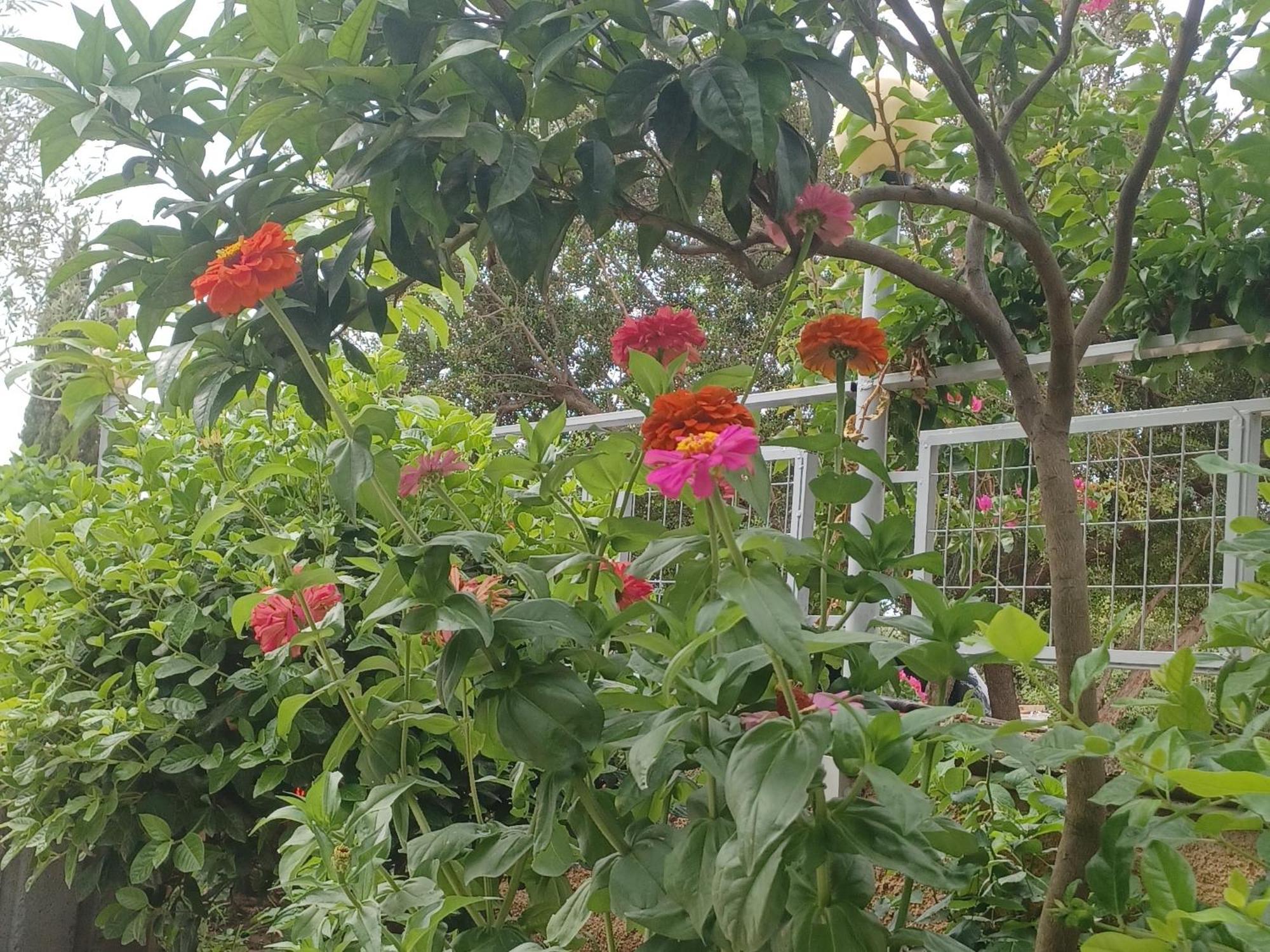 Garden Rooms Himare Ngoại thất bức ảnh
